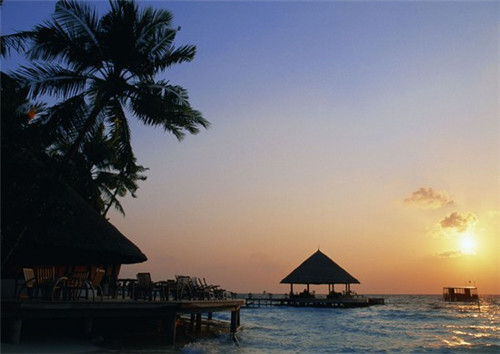 张家乐奶茶店怎么样了啊视频，张家乐奶茶店怎么样了啊