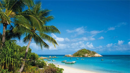 二刀潮牛加盟开店赚钱吗，加盟二刀潮牛市场前景如何