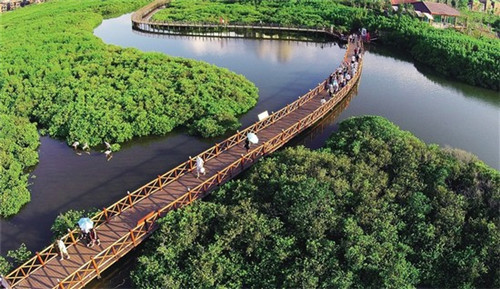 阿庆奶茶需要多少的加盟费