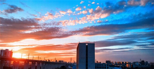 东营市创业2025地磅加盟店网红品牌有哪些