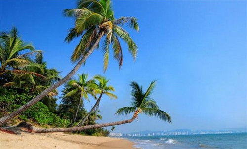 水木鲜果冻酸奶加盟在湛江市开店会亏吗