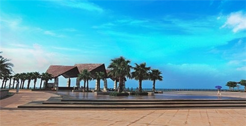 快手领域怎么查询账号（快手账号如何查看）