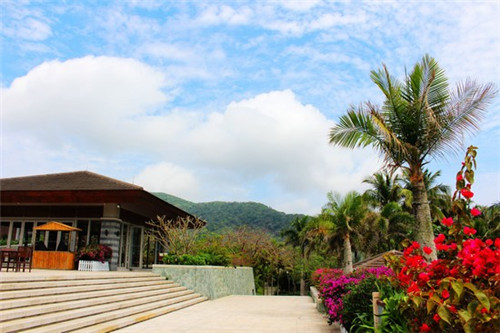 小说抖音排行榜（抖音出名的小说）