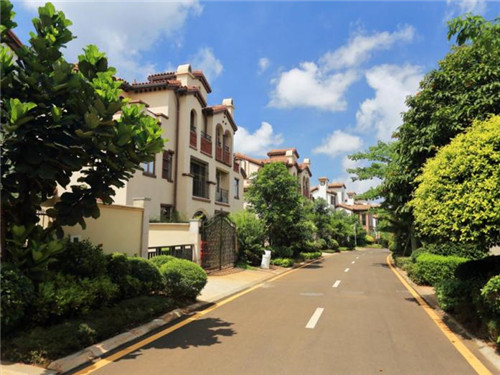 鼋头渚景区公交在哪里（鼋头渚景区公交车）