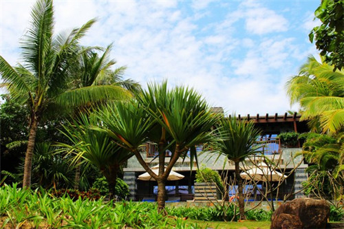 菠萝炒番茄怎么做才好（菠萝炒番茄怎么做才好吃又简单）