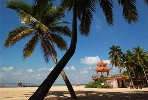 梦幻手游有固定伤害吗（梦幻手游伤害和伤害结果）