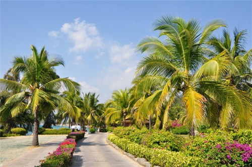 分开以后的天很蓝是什么歌（分开以后原唱）