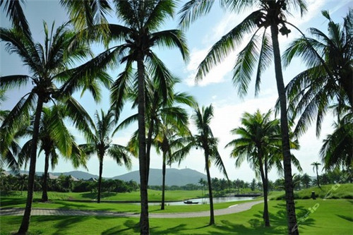 嗨优味炸鸡加盟大概要多少钱