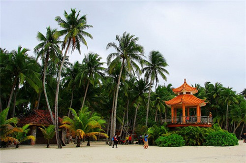 珠珑入水糖水铺在奶茶市场上的发展如何