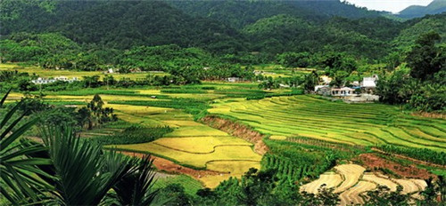 在泰和县加盟迪迪汉堡哪个地段生意好