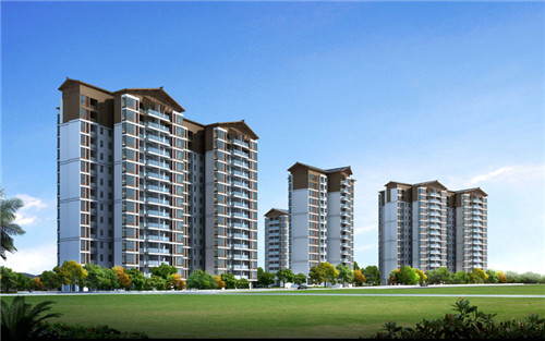 贵州炒油茶家常做法（贵州炒油茶家常做法视频）